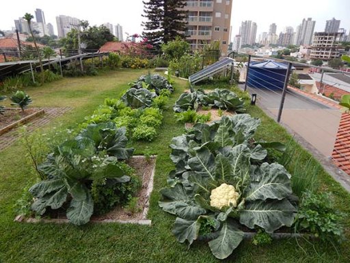 Imagem: Divulgação Ecra Sustentabilidade