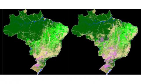 Imagem: Divulgação MapBiomas