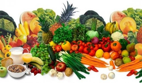 28042014-123704-alimentosnutricao