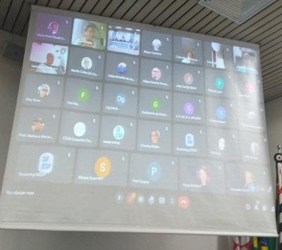 plenária virtual