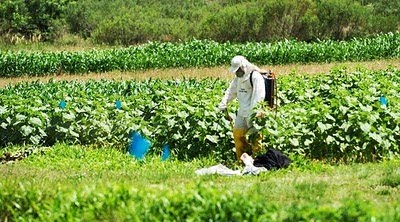 Campanha Brasil Inteligente combate o uso abusivo de agrotóxicos Campanha Brasil Inteligente combate o uso abusivo de agrotóxicos