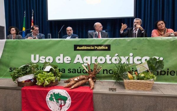 Foto: Roberto Navarro