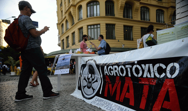 16122014-111537-agrotx