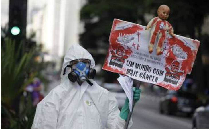 Manifestante protesta contra Monsanto
